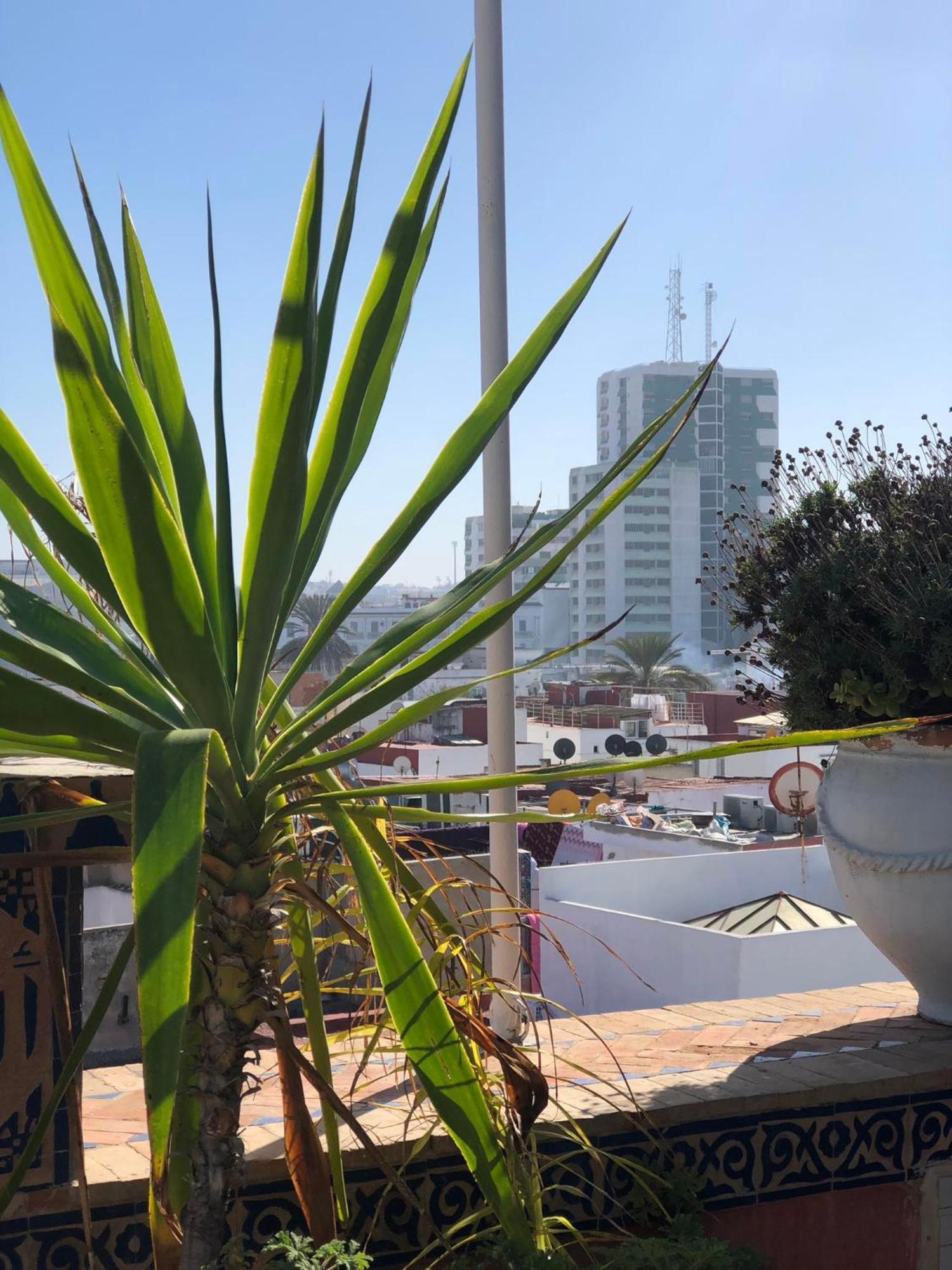 Riad Razoli Sidi Fateh Rabat Bagian luar foto