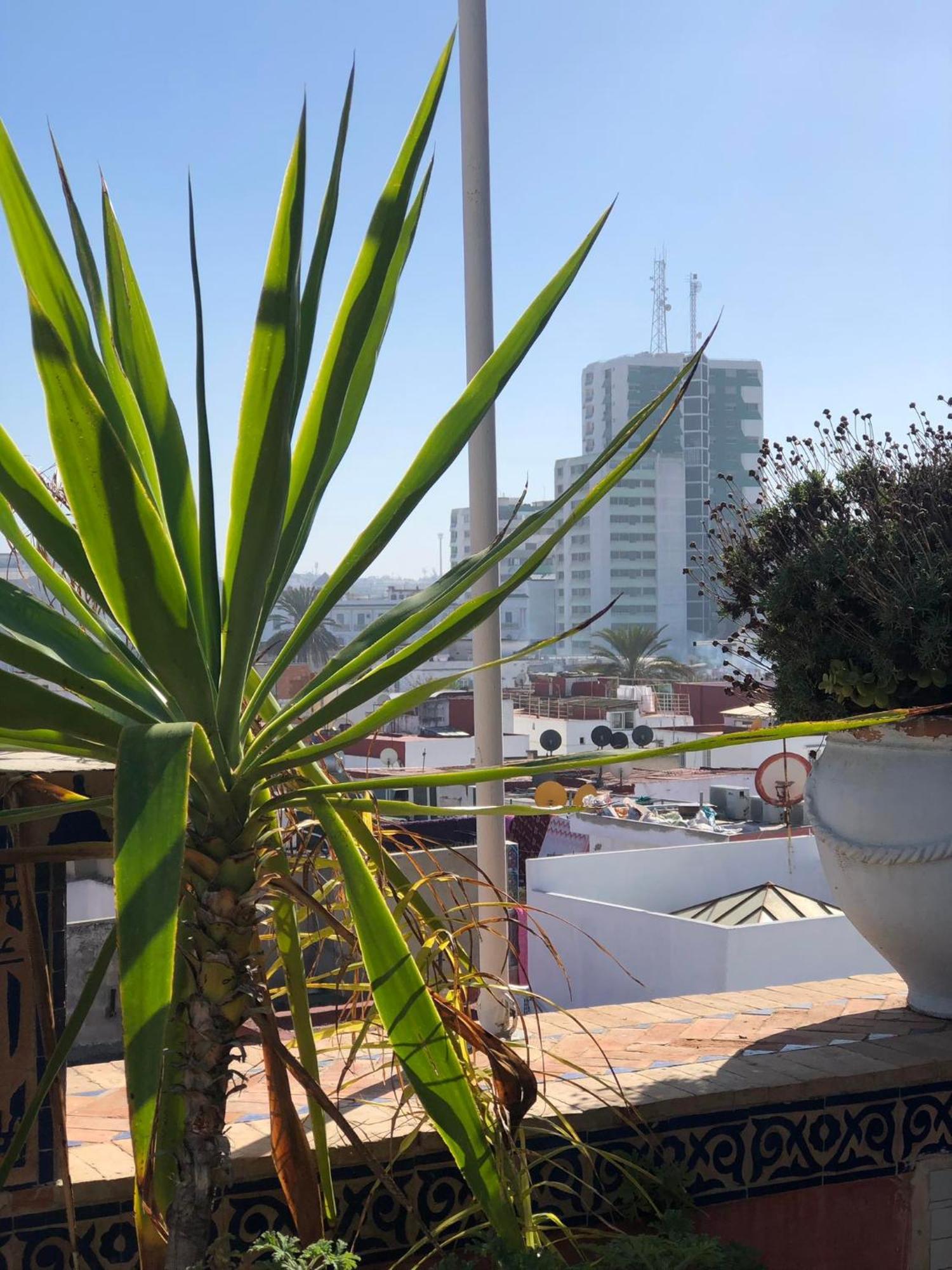 Riad Razoli Sidi Fateh Rabat Bagian luar foto